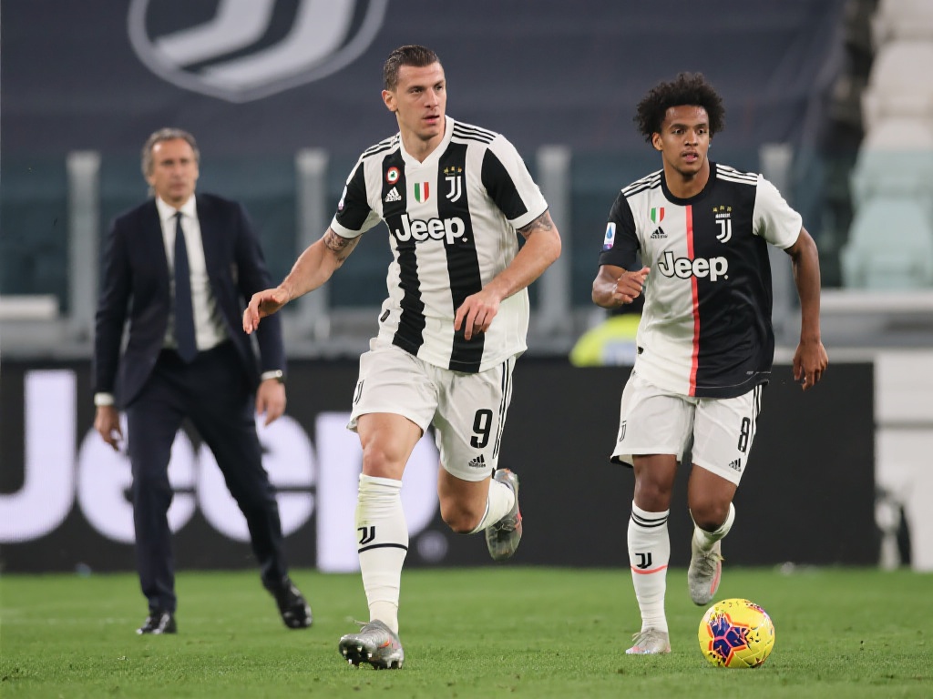 投注者应当 投注者应当